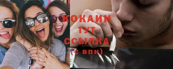 трава Бородино
