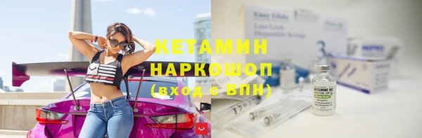 трава Бородино