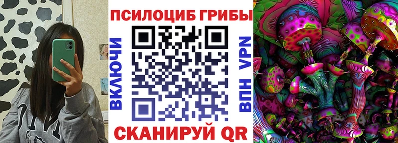 где можно купить наркотик  Медногорск  Псилоцибиновые грибы Cubensis 